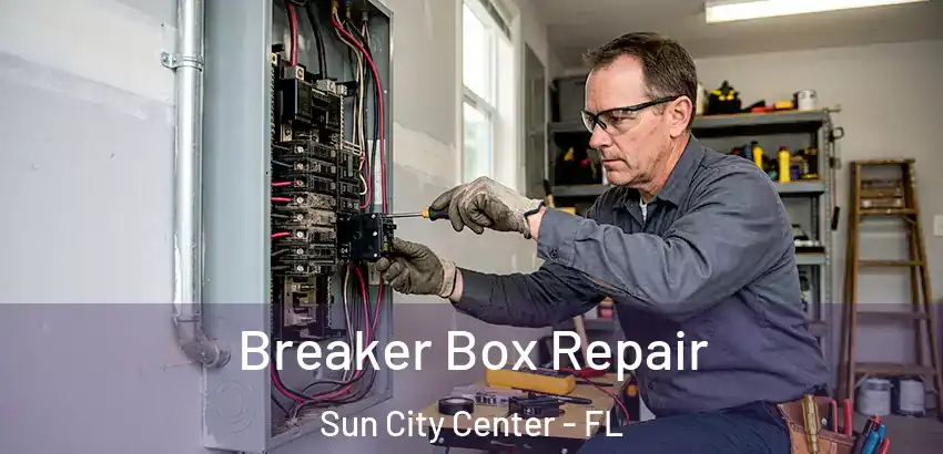  Breaker Box Repair Sun City Center - FL