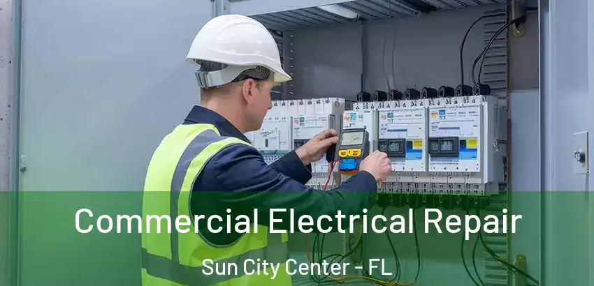  Commercial Electrical Repair Sun City Center - FL