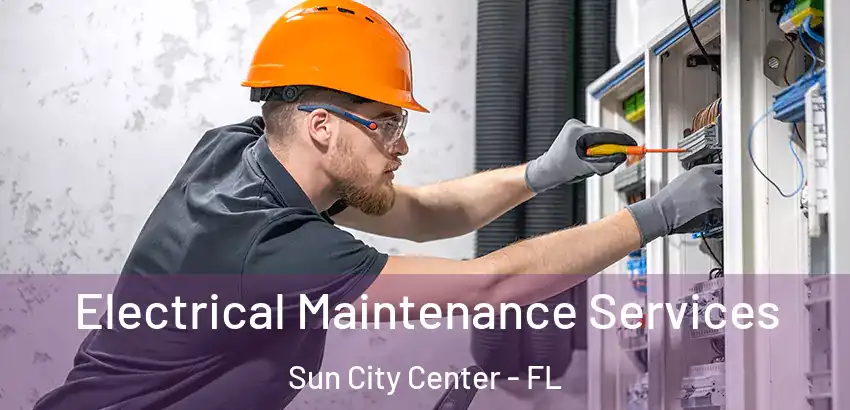 Electrical Maintenance Services Sun City Center - FL