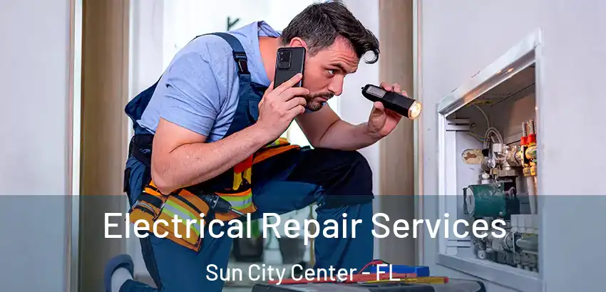 Electrical Repair Services Sun City Center - FL