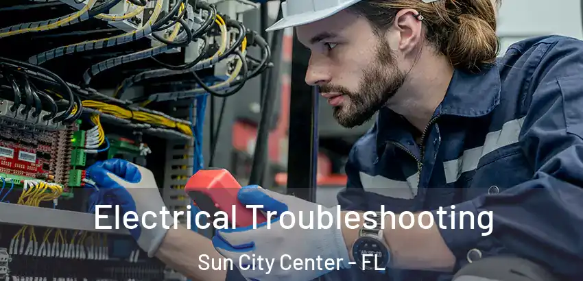  Electrical Troubleshooting Sun City Center - FL
