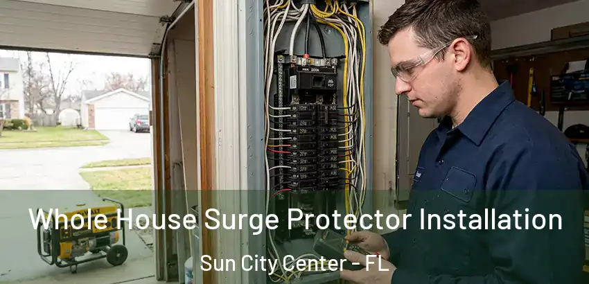 Whole House Surge Protector Installation Sun City Center - FL